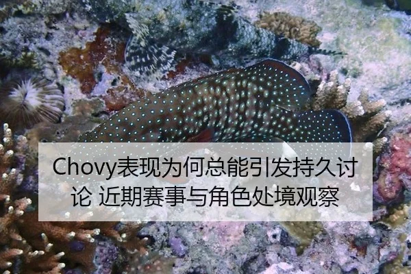 Chovy表现为何总能引发持久讨论 近期赛事与角色处境观察
